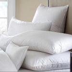 A pair of Fibre pillow